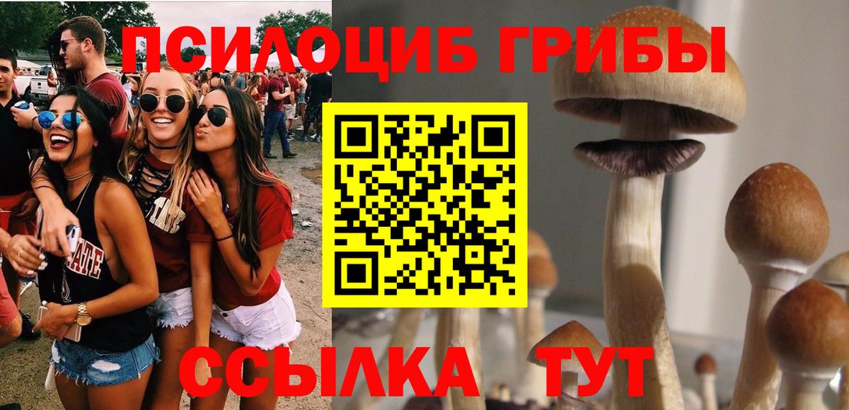 Губаха  Псилоцибиновые грибы мухоморы  Вход с VPN  Галлюциногенные грибы мухоморы 